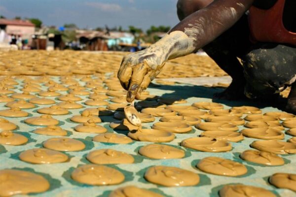 Biskut Tanah Haiti